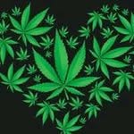 Eric Hernandes - @hndz854 - Instagram