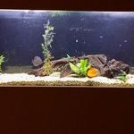 Eric Herndon - @herndon9829 - Instagram