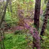 eric_sternquist - @eric_sternquist - TikTok