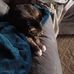 Eric Heron - Facebook