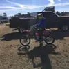 Eric Herzfeldt - @ericherzfeldt - TikTok