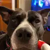 erichartzel1 - @erichartzel1 - TikTok