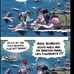Eric Herve - Facebook