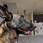 Eric Hette - @eric.hette.9 - Instagram