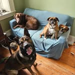 Eric Heuser - @heuser.eric - Instagram