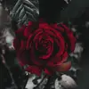 EricvHeuser - @vmxeric - TikTok