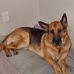 Eric Heyer - Facebook
