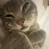 Erica - @erica.hibbard - TikTok