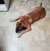 Eric Hickmon - Facebook