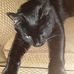 Eric Hiebert - Facebook