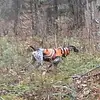 erichier0 - @erichier0 - TikTok
