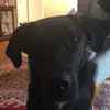 eric_higgins1 - @eric_higgins1 - TikTok