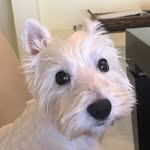 Eric Highland - @erichighland - Instagram