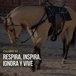 Eric Higuera - @eric.higuera.9 - Instagram