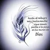 Eric Higuera - @erichiguera1 - TikTok