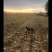 Eric Hilbert - Facebook