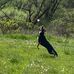 Eric Hiller - Facebook
