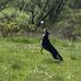 Eric Hiller - Facebook