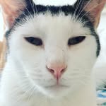 Eric Himmel - @ehimmel117 - Instagram