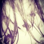 Eric Hindbaugh - @eric_hindbaugh - Instagram