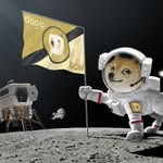Eric Hindman - @cpldogehindman - Instagram