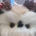 Eric Hindmon - @eofthedead - Instagram