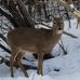 Eric Hinkel - Facebook