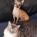 Eric Hinrichs - Facebook