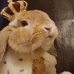 Eric Hintermeyer - @erichintermeyer - Instagram