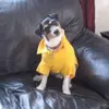 erichintz1488 - @erichintz1488 - TikTok