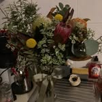 Judy Green - @erichippler - Instagram