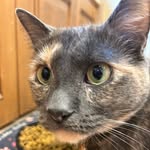 Eric Hixson - @eric9.68 - Instagram