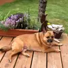 ericahjorten - @ericahjorten - TikTok