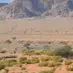 eric_hoadley - @eric_hoadley - TikTok