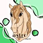 𝑬𝒓𝒊𝒄𝒌 𝑨𝒍𝒗𝒆𝒔 𝑫𝒖𝒂𝒓𝒕𝒆 - @erick_hobby.horses - Instagram
