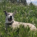 Erik Hobby - @erik_hobby - Instagram