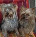Eric Hodel - Facebook