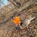 Eric Hodgen - Facebook