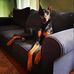 Eric Hodgins - Facebook