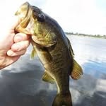 Eric Hodo - @eric.hodo - Instagram