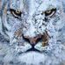 Eric Hoesing - Facebook
