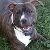Eric Felthoff - @eric.felthoff - TikTok