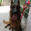 Eric Hoft - @2176180422 - TikTok