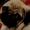 eric.hogrefe - @e.h951 - TikTok