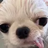erichohoh - @erichohoh - TikTok