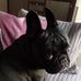 Erica Hohler - Facebook