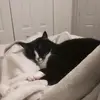 eric_chojnacki - @eric_chojnacki - TikTok