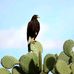 Erick Holguin - Facebook