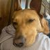 Eric R Hollenbach - Facebook
