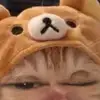 erichollenbach861 - @erichollenbach861 - TikTok